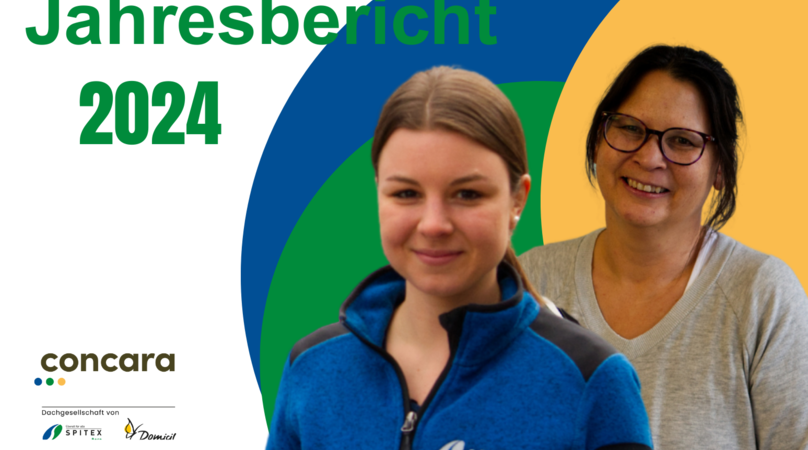 Web - Jahresbericht
