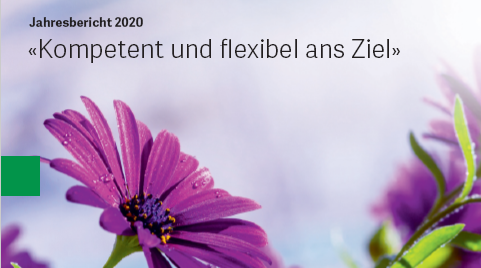 Jahresbericht 2020 